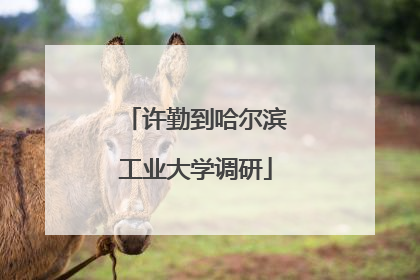 许勤到哈尔滨工业大学调研