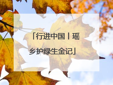 行进中国丨瑶乡护绿生金记