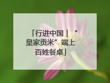 行进中国｜“皇家贡米”端上百姓餐桌