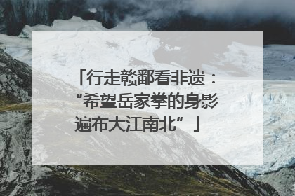 行走赣鄱看非遗：“希望岳家拳的身影遍布大江南北”