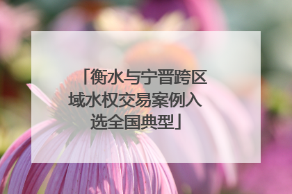 衡水与宁晋跨区域水权交易案例入选全国典型