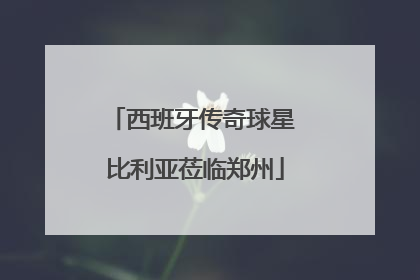 西班牙传奇球星 比利亚莅临郑州