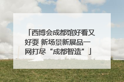 西博会成都馆好看又好耍 新场景新展品一网打尽“成都智造”