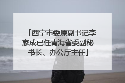 西宁市委原副书记李家成已任青海省委副秘书长、办公厅主任