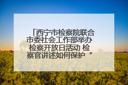 西宁市检察院联合市委社会工作部举办检察开放日活动 检察官讲述如何保护“少年的你”