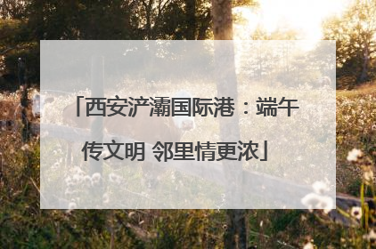 西安浐灞国际港：端午传文明 邻里情更浓
