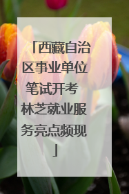 西藏自治区事业单位笔试开考 林芝就业服务亮点频现