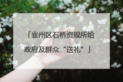 襄州区石桥资规所给政府及群众“送礼”