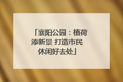 襄阳公园：植荷添新景 打造市民休闲好去处