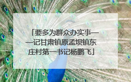要多为群众办实事——记甘肃镇原孟坝镇东庄村第一书记杨鹏飞