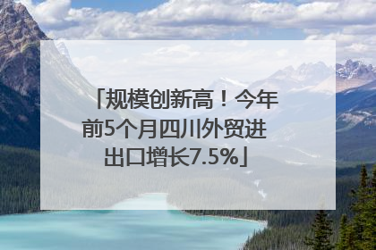 规模创新高！今年前5个月四川外贸进出口增长7.5%