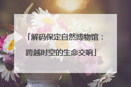 解码保定自然博物馆：跨越时空的生命交响