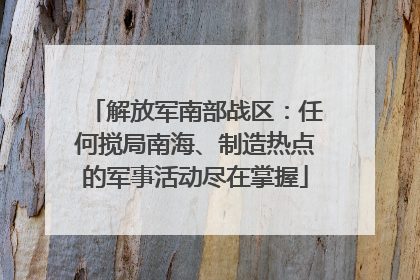 解放军南部战区：任何搅局南海、制造热点的军事活动尽在掌握
