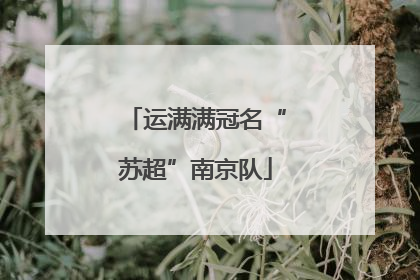 运满满冠名“苏超”南京队