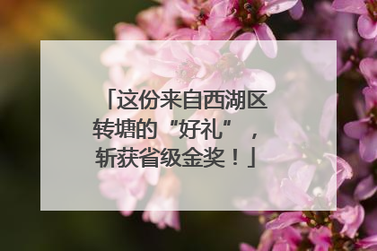 这份来自西湖区转塘的“好礼”，斩获省级金奖！