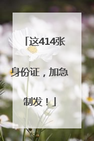 这414张身份证，加急制发！