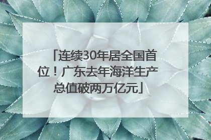 连续30年居全国首位！广东去年海洋生产总值破两万亿元