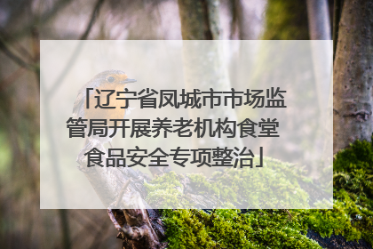 辽宁省凤城市市场监管局开展养老机构食堂食品安全专项整治