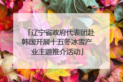 辽宁省政府代表团赴韩国开展十五冬冰雪产业主题推介活动