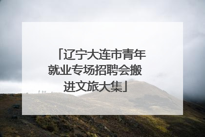 辽宁大连市青年就业专场招聘会搬进文旅大集