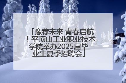 豫荐未来 青春启航！平顶山工业职业技术学院举办2025届毕业生夏季招聘会