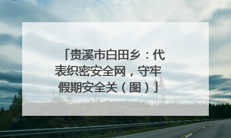 贵溪市白田乡：代表织密安全网，守牢假期安全关（图）