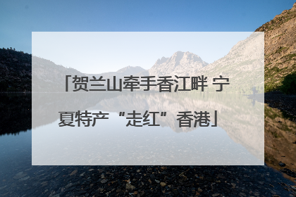 贺兰山牵手香江畔 宁夏特产“走红”香港