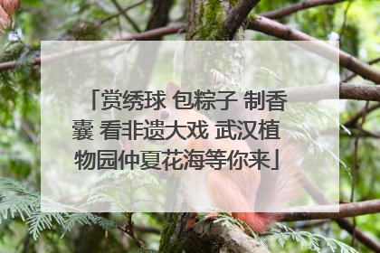 赏绣球 包粽子 制香囊 看非遗大戏 武汉植物园仲夏花海等你来