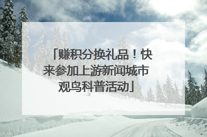 赚积分换礼品！快来参加上游新闻城市观鸟科普活动