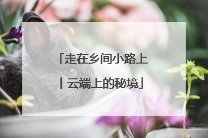 走在乡间小路上丨云端上的秘境