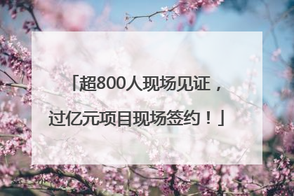 超800人现场见证，过亿元项目现场签约！