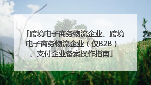 跨境电子商务物流企业、跨境电子商务物流企业（仅B2B）、支付企业备案操作指南