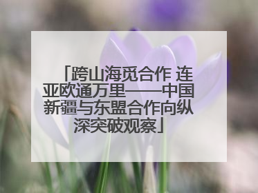 跨山海觅合作 连亚欧通万里——中国新疆与东盟合作向纵深突破观察