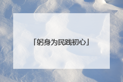 躬身为民践初心