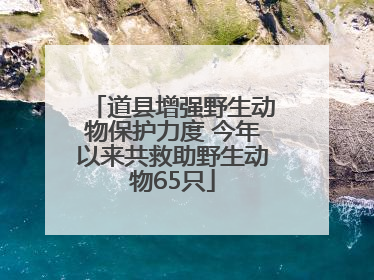 道县增强野生动物保护力度 今年以来共救助野生动物65只