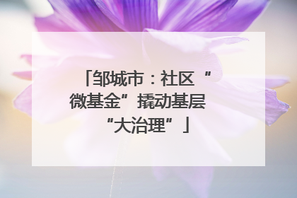 邹城市：社区“微基金”撬动基层“大治理”