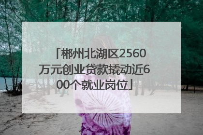 郴州北湖区2560万元创业贷款撬动近600个就业岗位