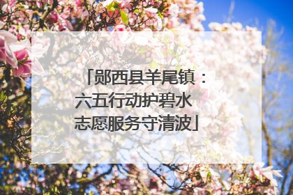 郧西县羊尾镇：六五行动护碧水 志愿服务守清波