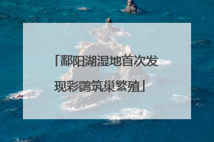 鄱阳湖湿地首次发现彩鹮筑巢繁殖