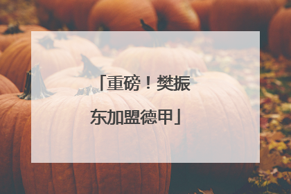 重磅！樊振东加盟德甲