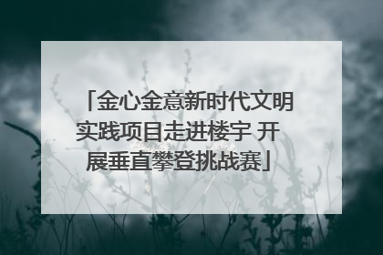 金心金意新时代文明实践项目走进楼宇 开展垂直攀登挑战赛