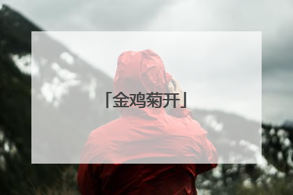 金鸡菊开