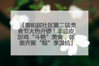 青和居社区第二届美食节火热开锣！非遗皮影戏“斗艳”美食，邻里齐聚“粽”享温情