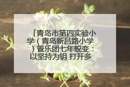 青岛市第四实验小学（青岛新昌路小学）管乐团七年蜕变：以坚持为钥 打开多元成长之门