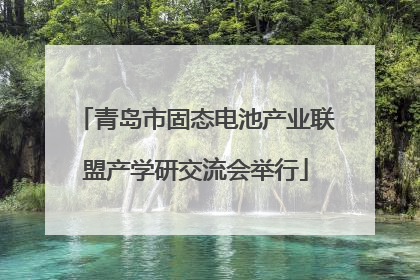 青岛市固态电池产业联盟产学研交流会举行