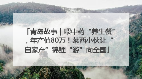 青岛故事｜喂中药“养生餐”，年产值80万！莱西小伙让“自家产”锦鲤“游”向全国
