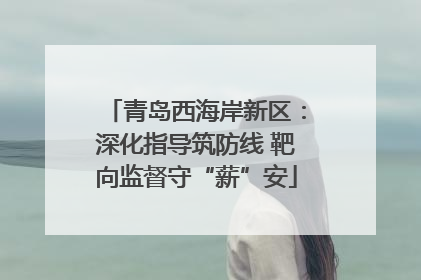 青岛西海岸新区：深化指导筑防线 靶向监督守“薪”安