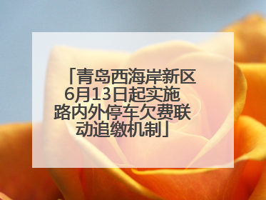 青岛西海岸新区6月13日起实施路内外停车欠费联动追缴机制
