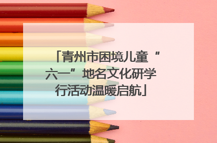 青州市困境儿童“六一”地名文化研学行活动温暖启航