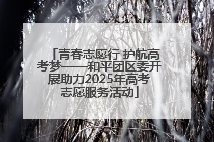 青春志愿行 护航高考梦——和平团区委开展助力2025年高考志愿服务活动